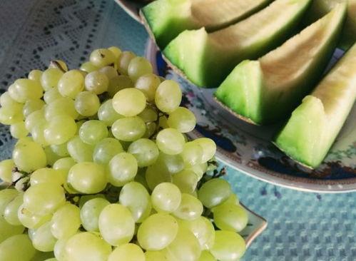 新疆伊犁吃瓜群,瓜果飘香，共享欢乐的“吃瓜”群生活