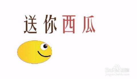 吃瓜送瓜表情包可爱图片