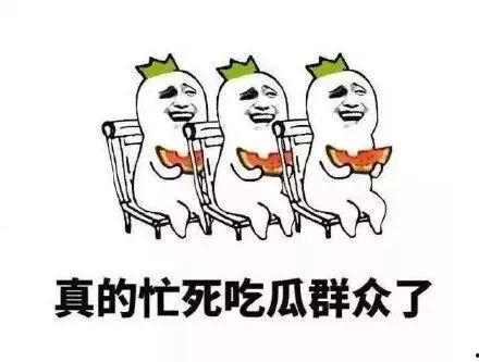 吃瓜自我修养,解锁自我修养的瓜界攻略