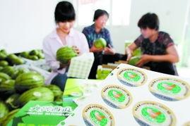 吃瓜监控有啥用,揭秘网络舆论背后的秘密与影响