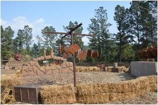 团队吃瓜群众游戏