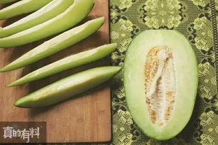 吃瓜卖瓜种瓜视频大全,吃瓜、卖瓜、种瓜视频大盘点