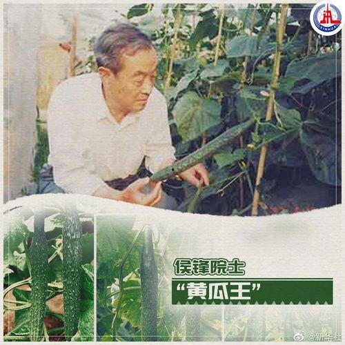 吃瓜院士,揭秘院士们的趣味生活与科学精神