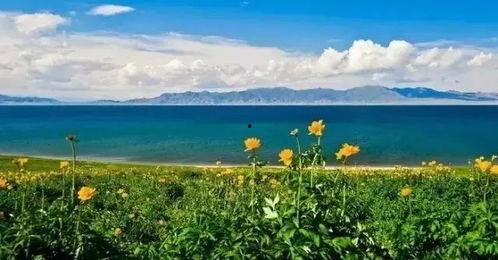 旅游吃瓜州的瓜