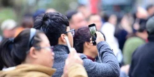 吕总事件吃瓜,揭秘网络舆论的风暴与真相