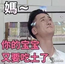 吃瓜群众周周,揭秘娱乐圈幕后故事