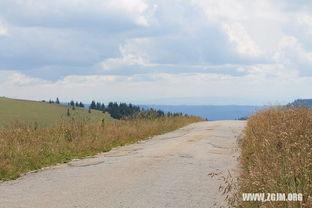 梦见摘好多瓜吃瓜,丰收瓜果，尽享甜蜜滋味