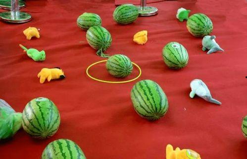 瓜吃西瓜小青蛙,小青蛙的奇妙冒险之旅