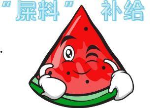 吃瓜现场辞职,一场辞职背后的职场风云