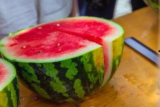 苏州学校吃瓜,揭秘校园吃瓜盛况