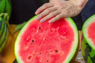 苏州学校吃瓜,揭秘校园吃瓜盛况