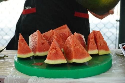 苏州学校吃瓜,揭秘校园吃瓜盛况