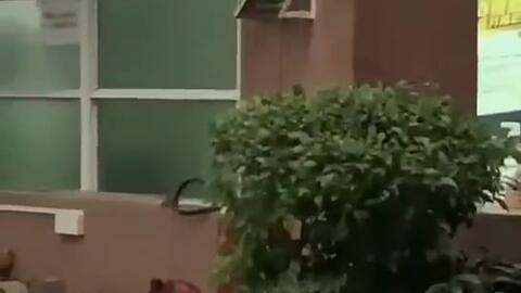 永济吃瓜新闻视频,揭秘当地热点事件背后的真相