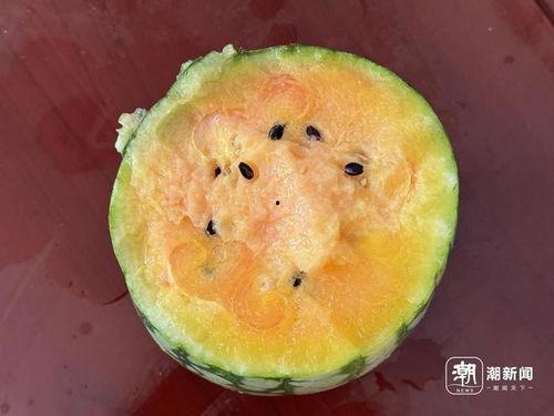 梦吃瓜是青色,探寻青色梦境的神秘之旅