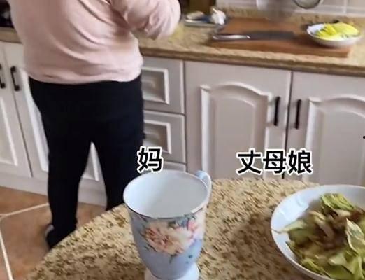 吃瓜岳母,揭秘现代家庭关系的微妙变化