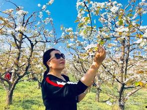 林夕吃瓜,揭秘娱乐圈幕后故事