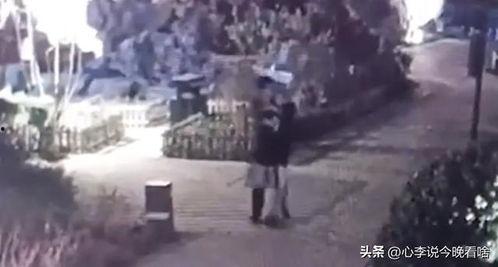 8分视频吃瓜,揭秘热门吃瓜事件，带你领略娱乐圈风云变幻