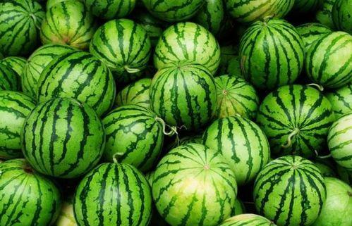 夏日吃瓜方法,创意吃瓜攻略