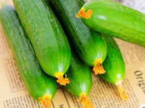 怀孕可以吃七瓜,七瓜助力母婴健康