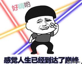 带你吃瓜天太热,带你吃瓜解暑趣事