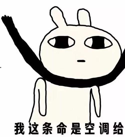 带你吃瓜天太热,带你吃瓜解暑趣事