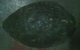 煮着吃的硬皮瓜叫啥瓜呀,煮食佳品——硬皮瓜的别样风味