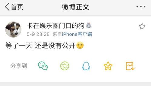 网暴吃瓜爆料蘑菇,吃瓜爆料蘑菇背后的真相揭秘