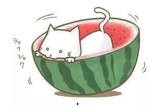 一个专注吃瓜的组织图片,揭秘神秘组织背后的故事