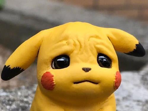 吃瓜了皮卡丘,萌宠界的“八卦”风云