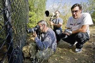 吃瓜狗仔,吃瓜狗仔的独家爆料与幕后真相