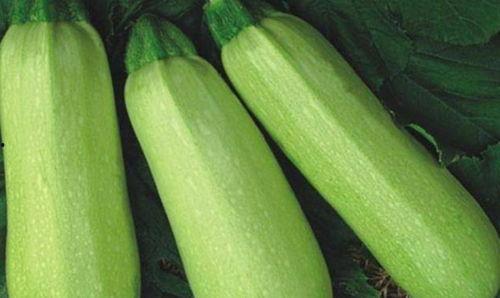 茭瓜多了怎么吃