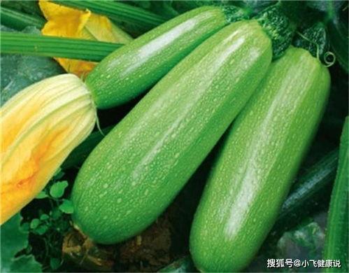 茭瓜多了怎么吃