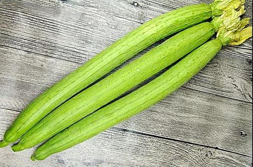 吃瓜养猹,揭秘网络时代的趣味现象与深层思考