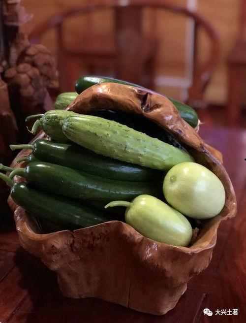 网红吃瓜文件,一场网络舆论的风暴与反思