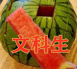 吃瓜东北体育生,吃瓜群众眼中的活力与激情