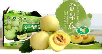 广东最新吃瓜,揭秘广东最新“吃瓜”潮流