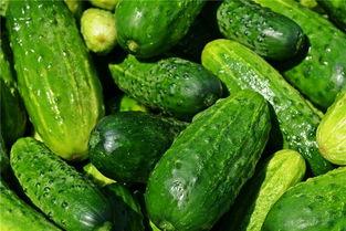 梦见吃很大的瓜,揭秘梦中大瓜的神秘寓意