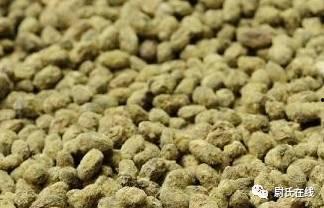 新乡延津吃瓜,探寻新乡特色美食之旅