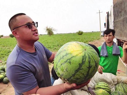 whd吃瓜,网络热词背后的故事与影响