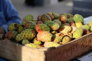 吃瓜网雅典腊,雅典腊背后的故事与真相