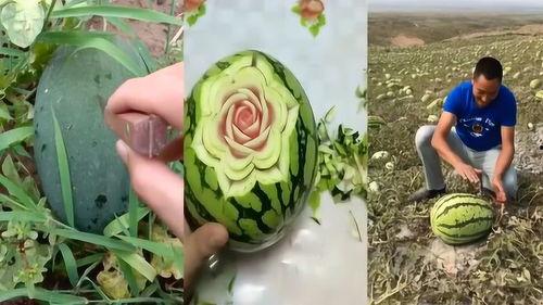 地里吃瓜的cha,揭秘乡村生活的独特魅力