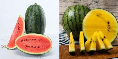 地里吃瓜的cha,揭秘乡村生活的独特魅力