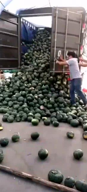 满车吃瓜,揭秘娱乐圈的幕后故事