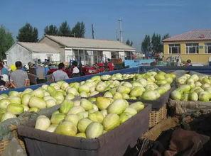 满车吃瓜,揭秘娱乐圈的幕后故事