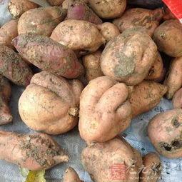 吃瓜可以抑制胃酸,天然胃酸抑制剂，守护肠胃健康