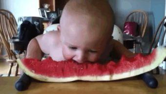 可爱宝宝吃瓜视频,可爱宝宝吃瓜视频集锦