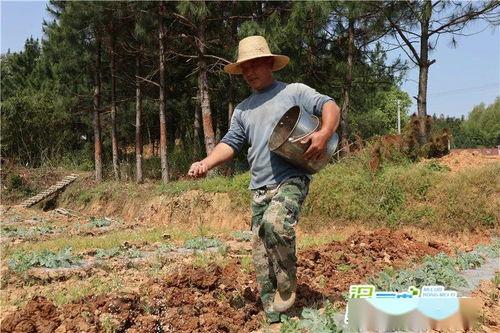 大荆吃瓜,揭秘娱乐圈幕后风云