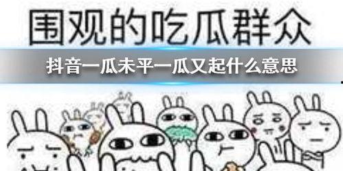 抖音吃瓜密码,跟随潮流，畅游瓜界盛宴”