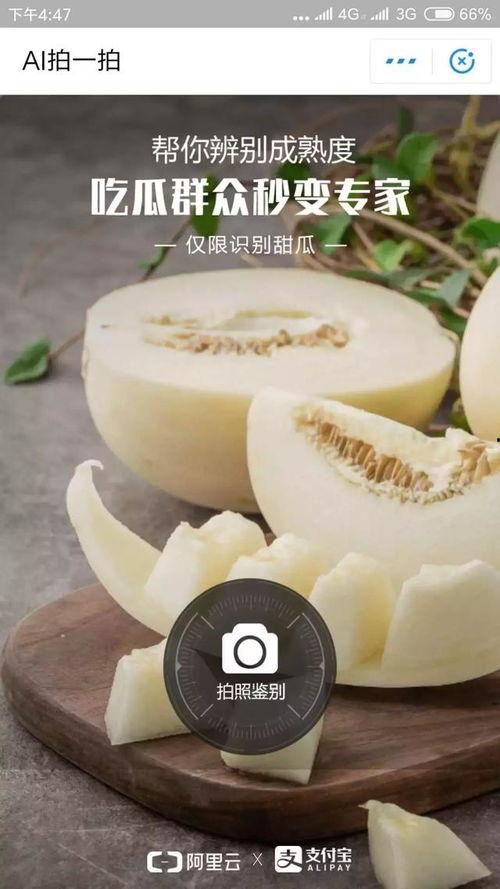 怎样解决甜瓜大瓜吃小瓜,甜瓜大瓜吃小瓜问题解决方案探究