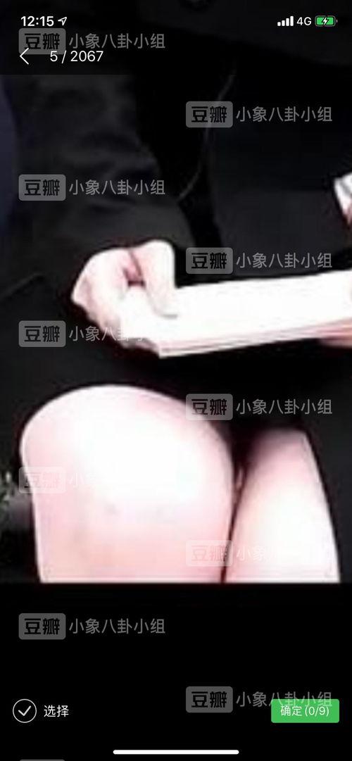 每日吃瓜每周更新,每日新鲜，跟随吃瓜大军，畅游娱乐世界